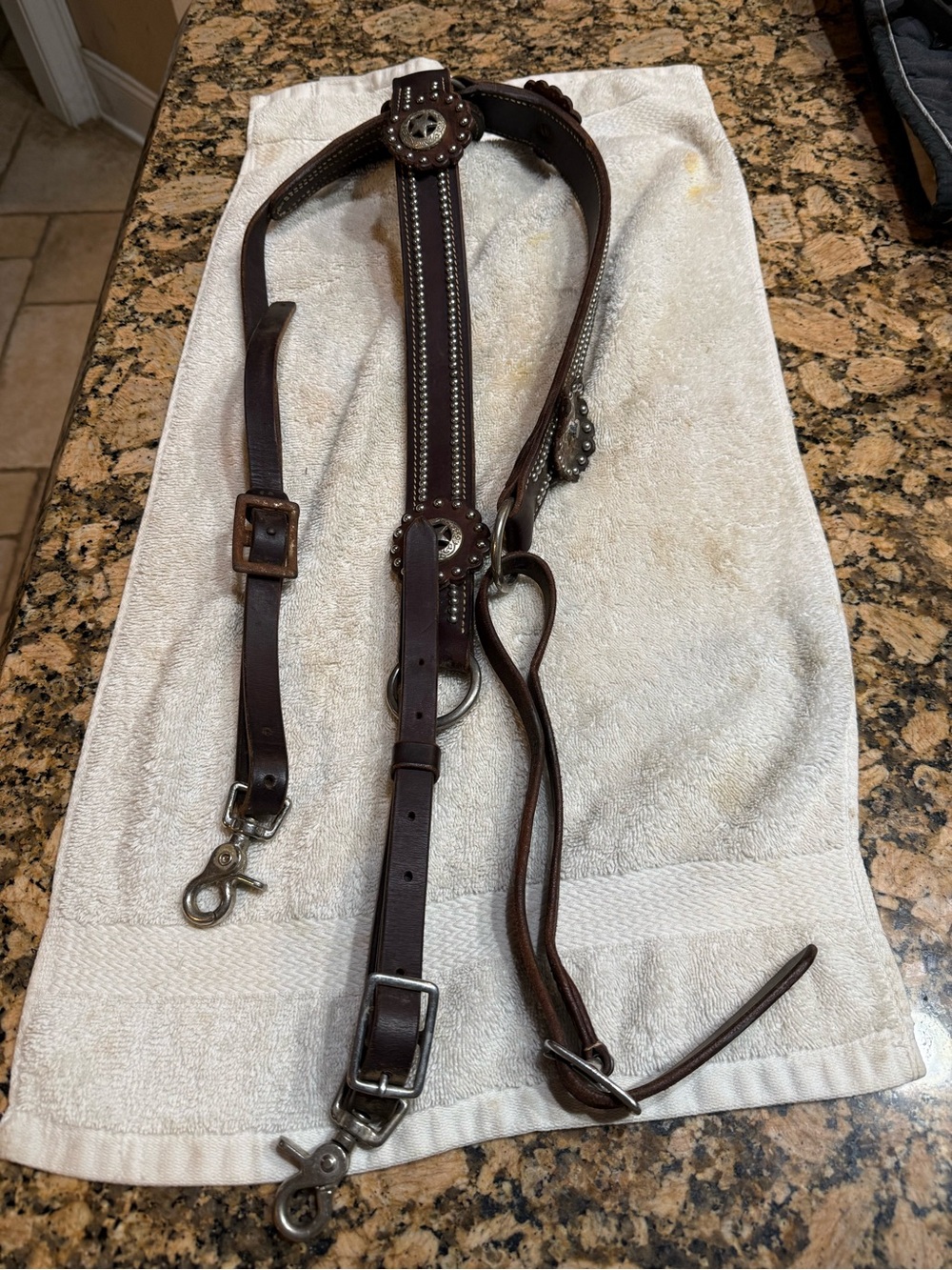 Western Chest Brown Leather chest collar horse size w/ Stud Accents read post